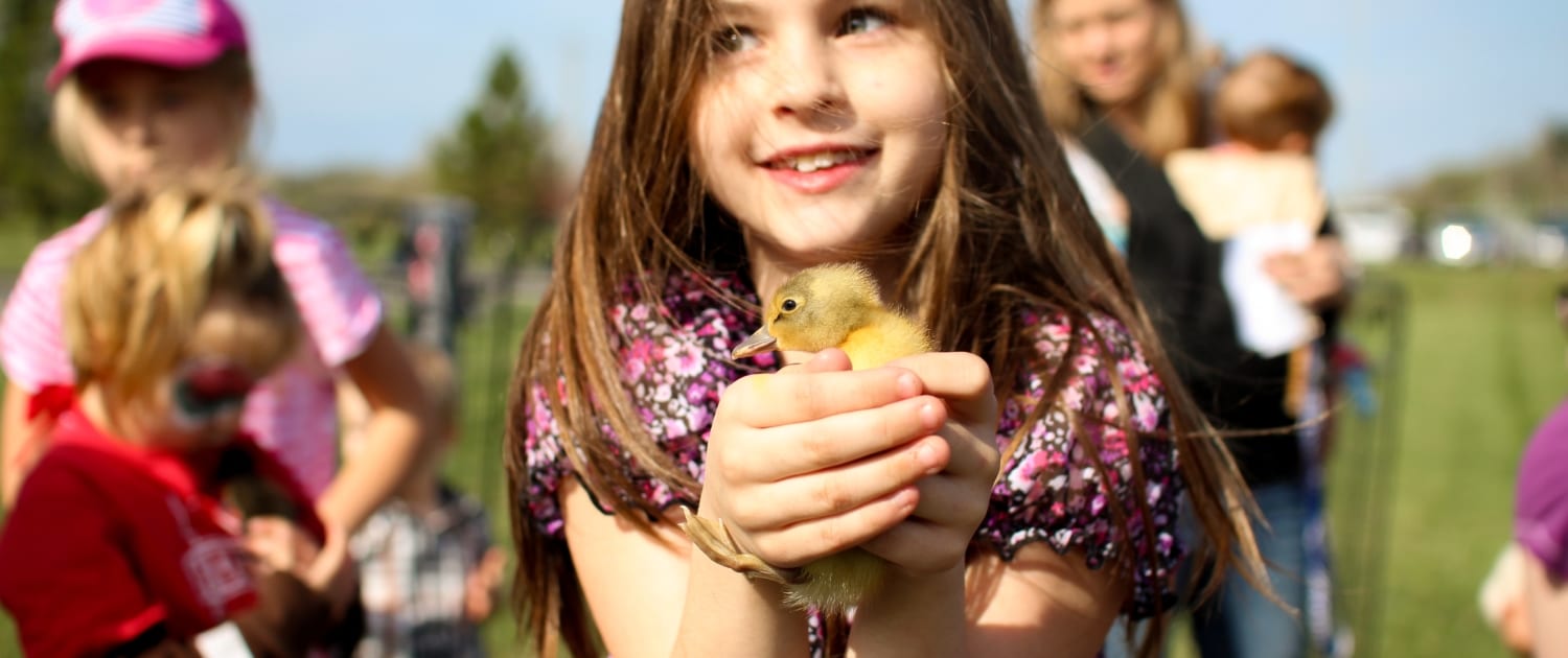 girl-with-baby-chicken