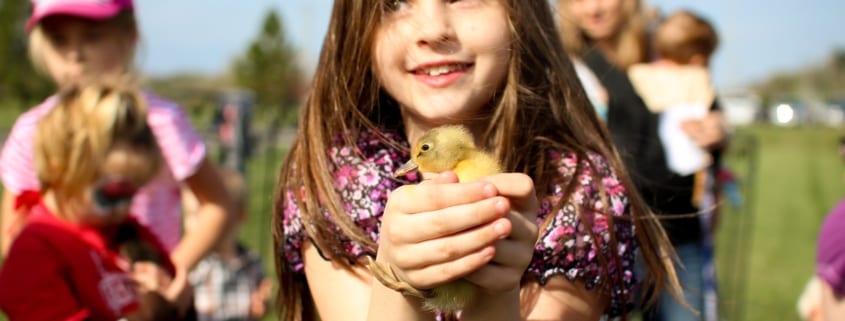 girl-with-baby-chicken