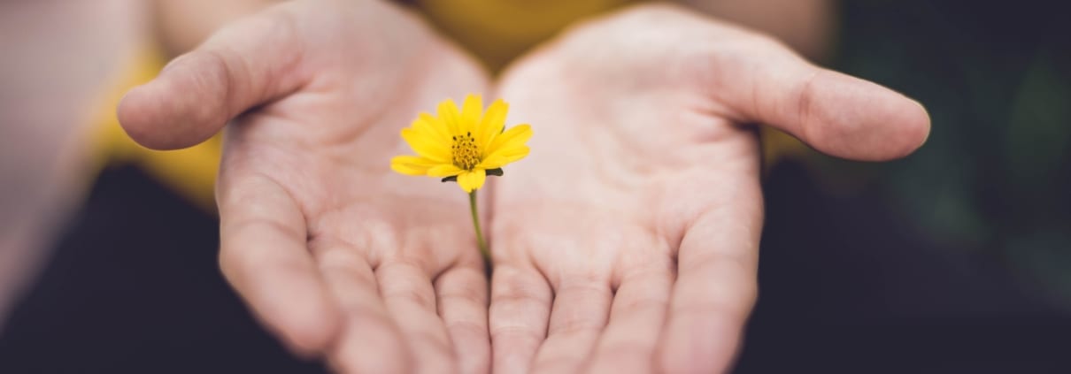flowers-in-hands