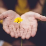 flowers-in-hands