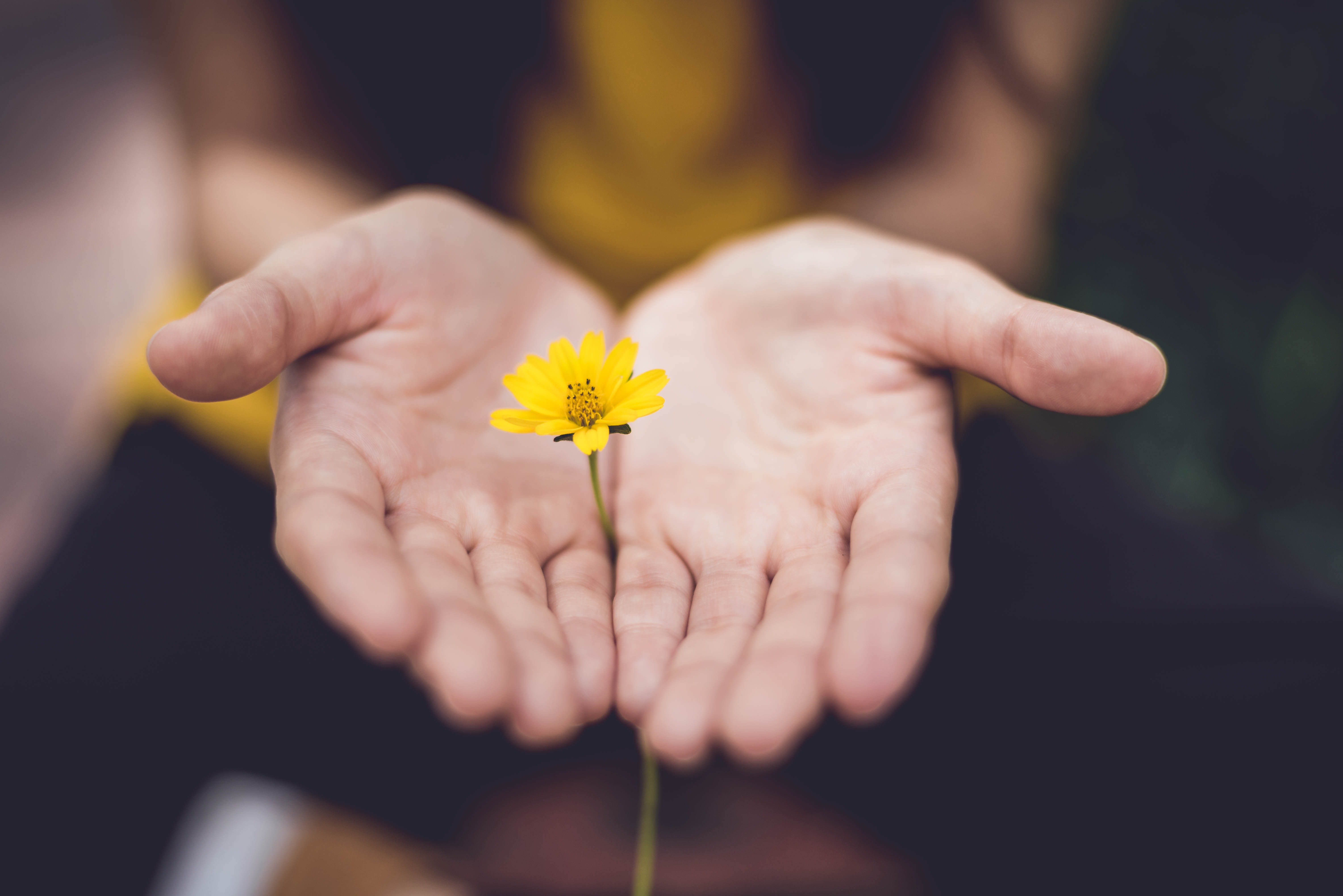 flowers-in-hands