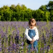 child-alone-in-field